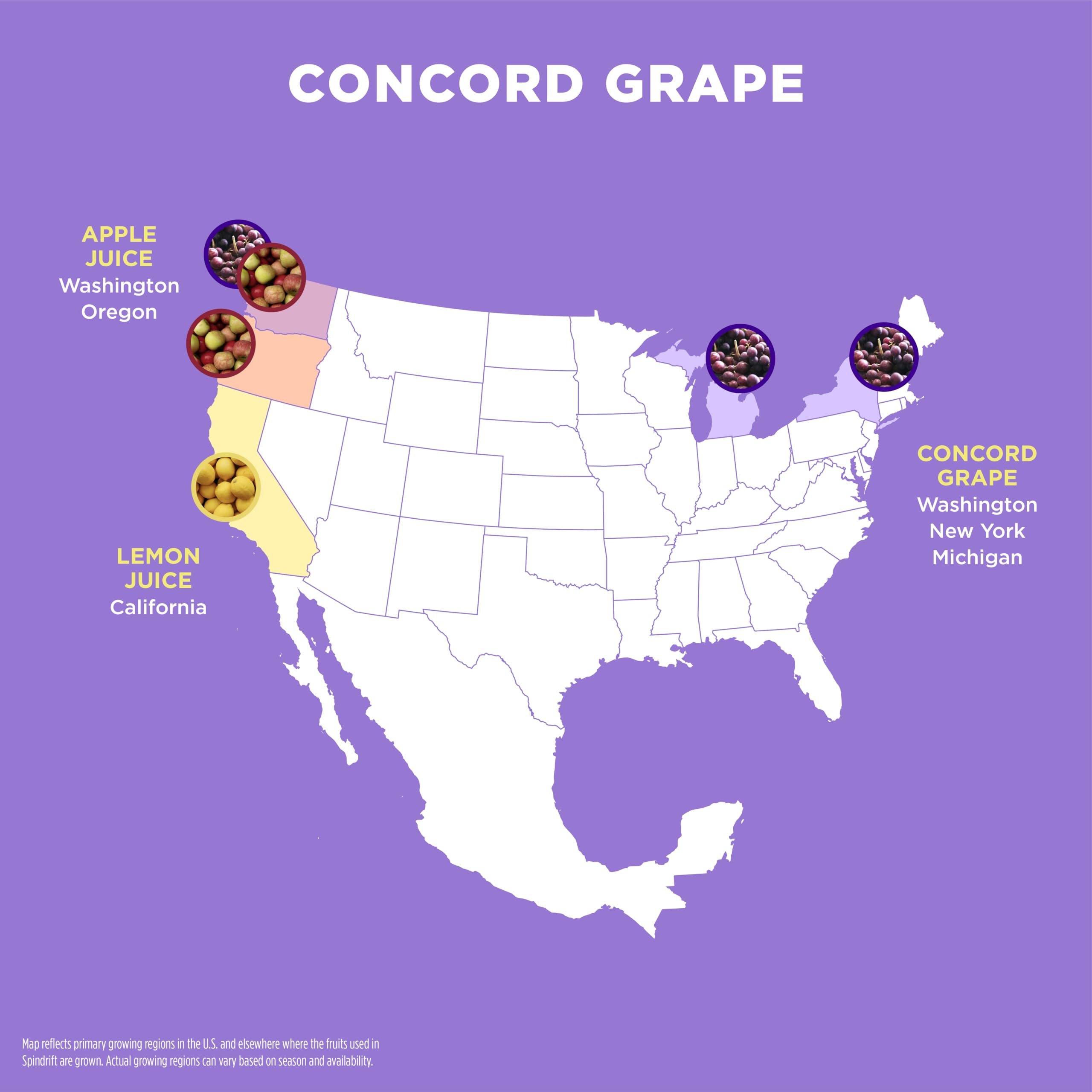 Close up of Concord Freeze label emphasizing clean ingredients and no artificial flavors.