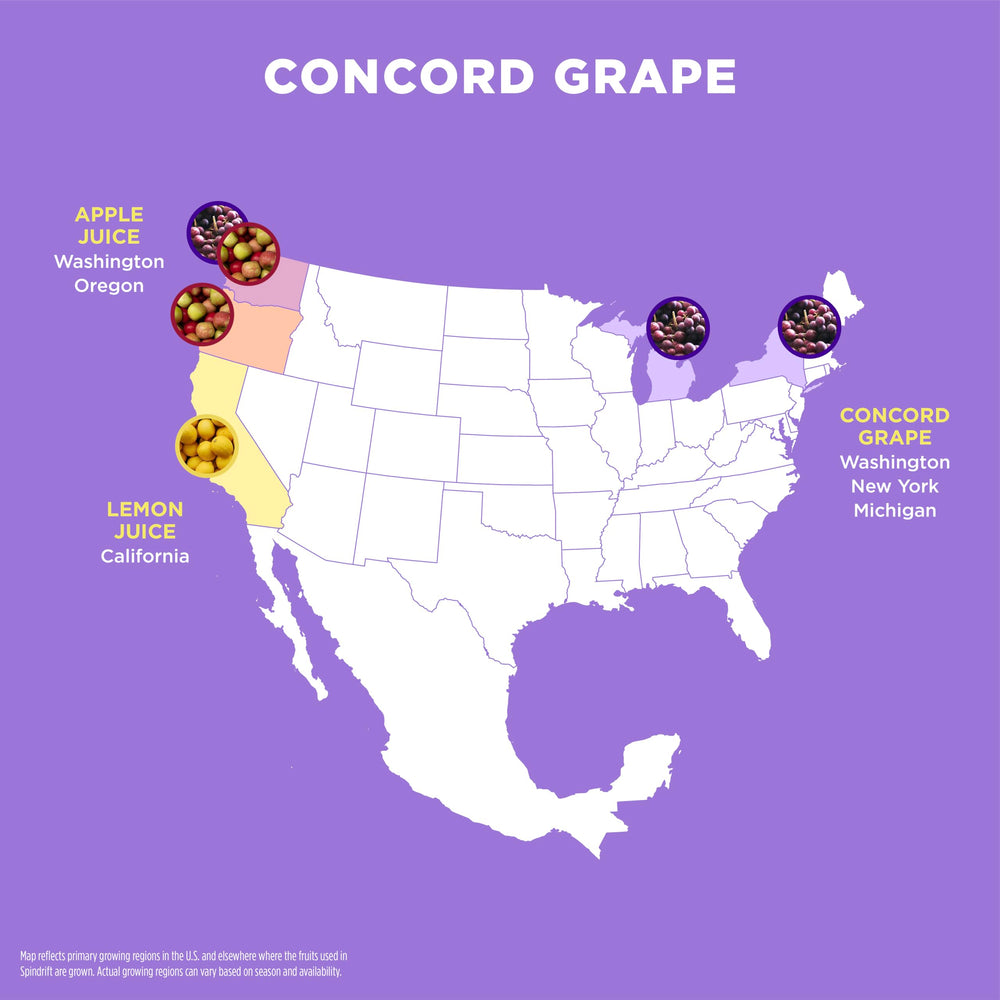 Close up of Concord Freeze label emphasizing clean ingredients and no artificial flavors.