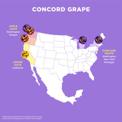 Close up of Concord Freeze label emphasizing clean ingredients and no artificial flavors.