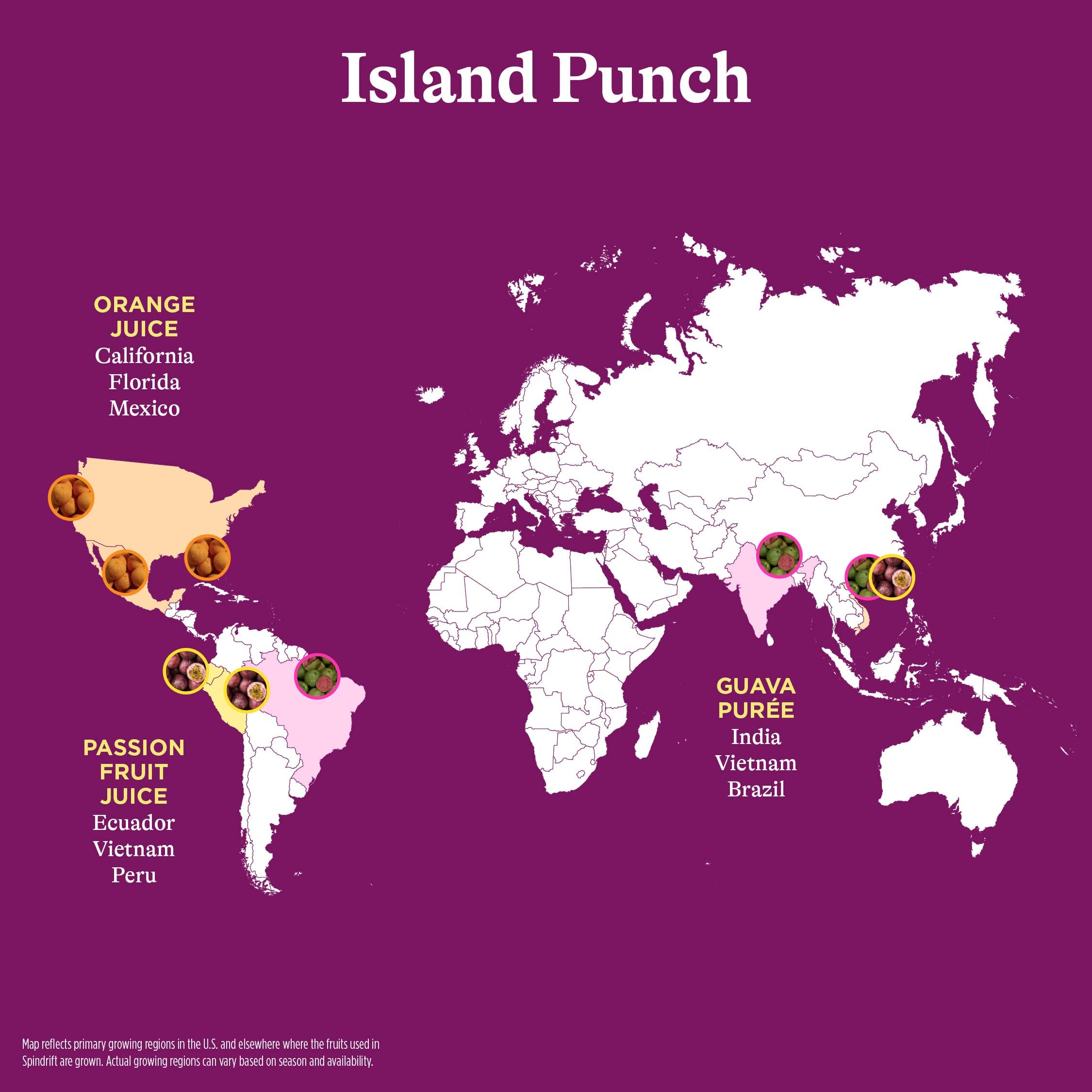 Spindrift Island Punch 24-pack display for easy stocking