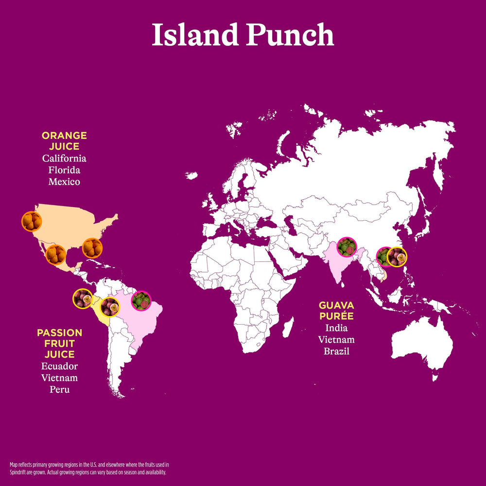 Spindrift Island Punch 24-pack display for easy stocking