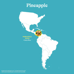 Spindrift Pineapple being poured into a glass with bright bubbles and tropical flavor.