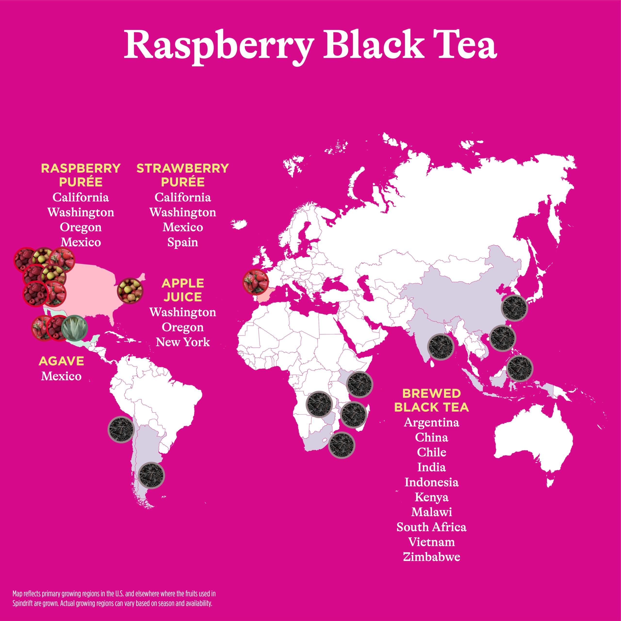 Close-up of real raspberries and tea on Spindrift Raspberry Black Tea label.