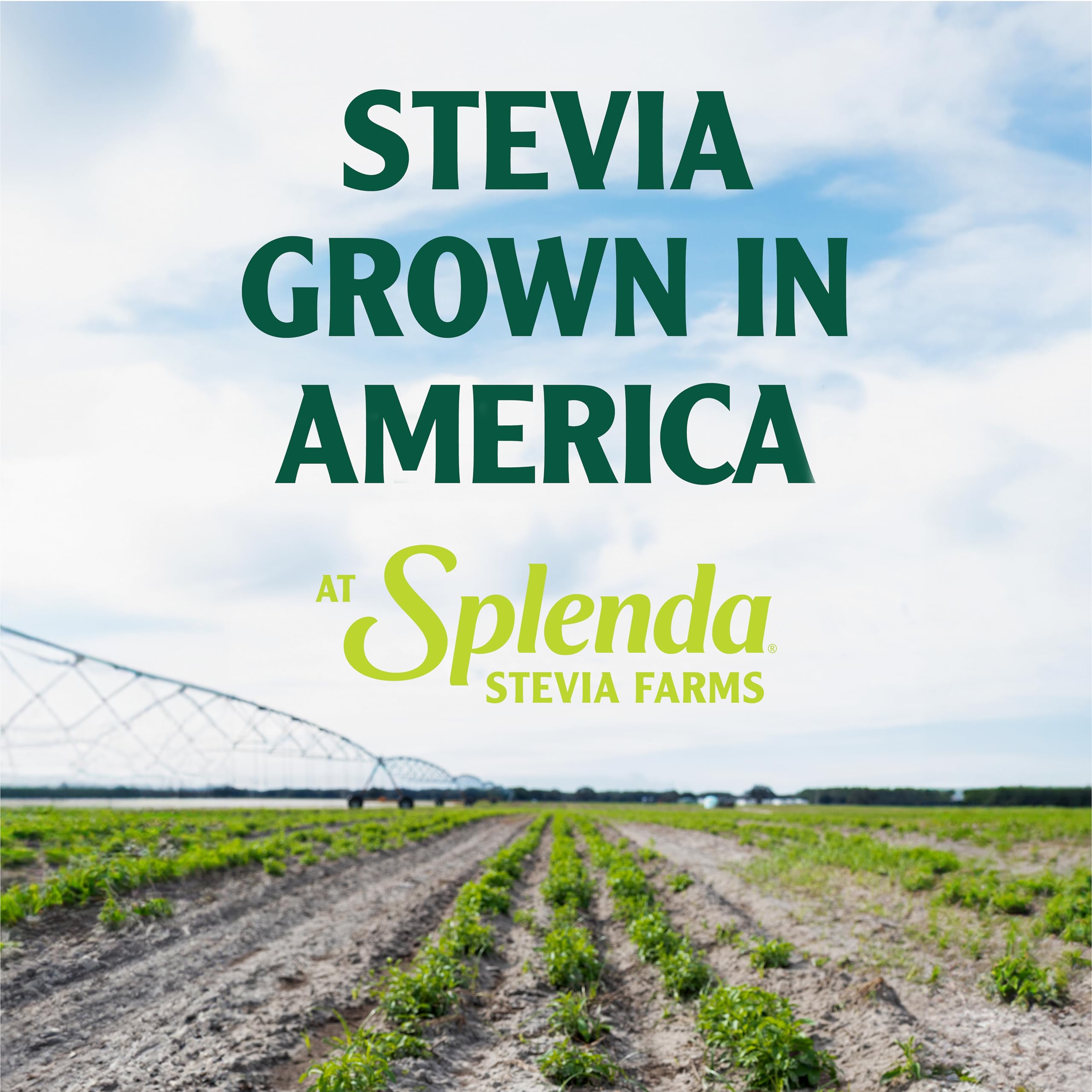 SPLENDA Stevia in coffee or tea demonstrates sugar-free flavor.