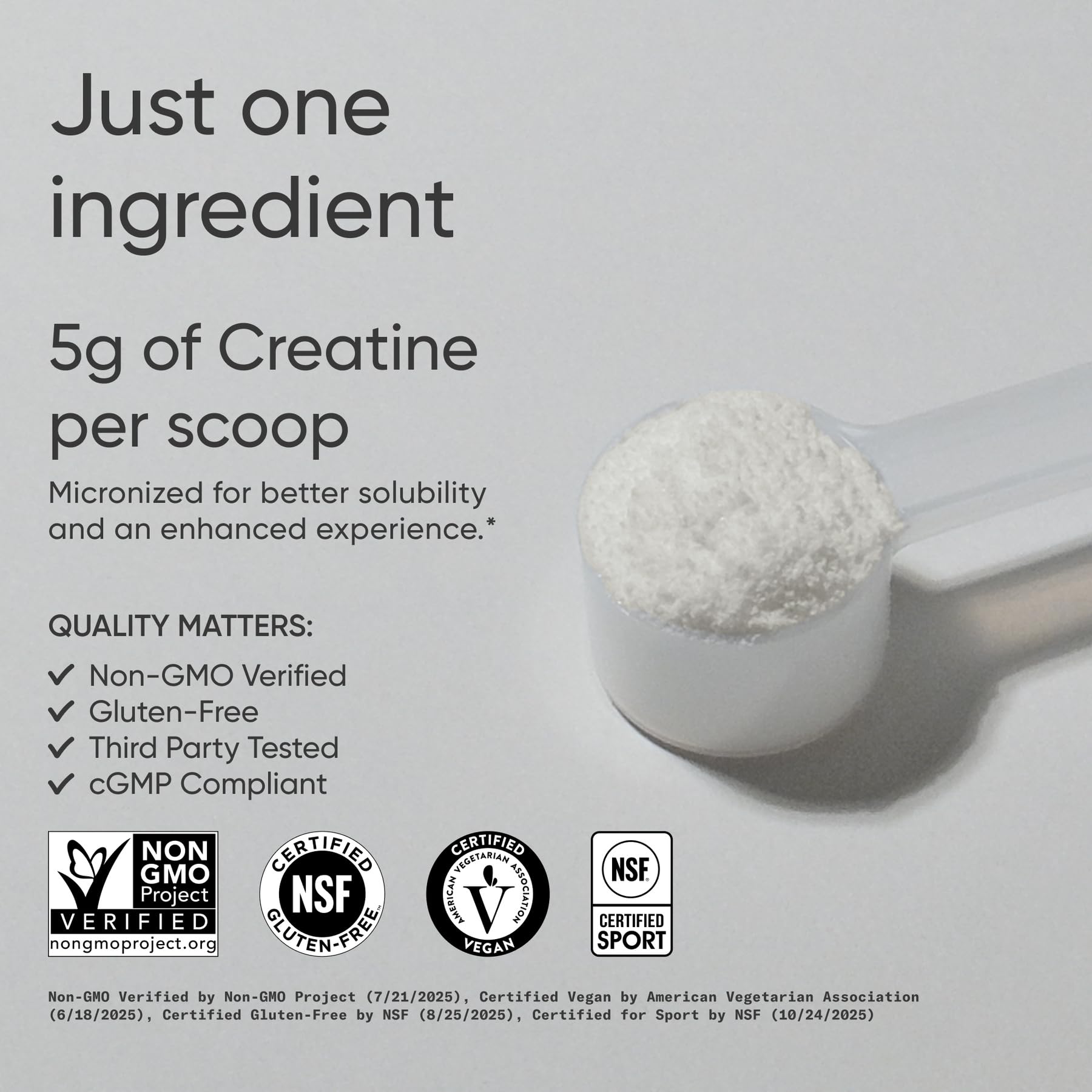 Sports Research creatine monohydrate powder scoop for easy daily dosing.