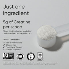 Sports Research creatine monohydrate powder scoop for easy daily dosing.