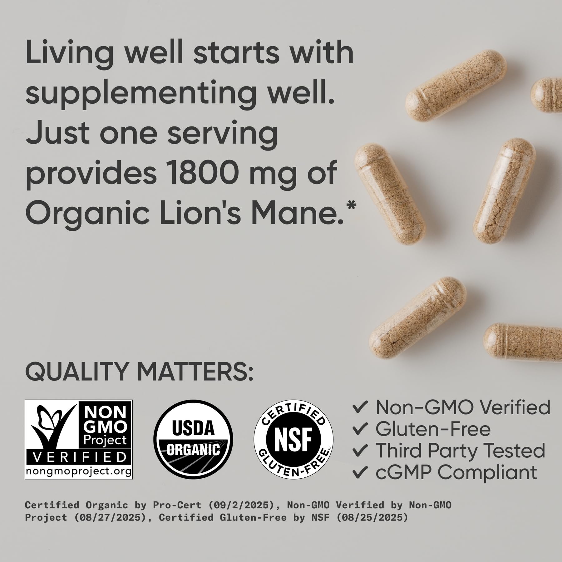 Sports Research Organic Lions Mane label back – explains ingredients and usage guidelines for daily support.