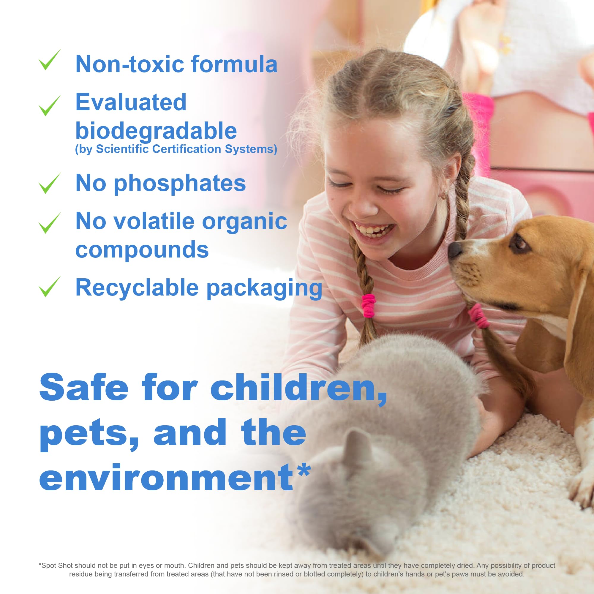 Spot Shot pet mess cleanup on carpet for a fresh look