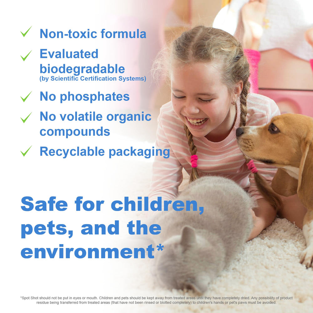 Spot Shot pet mess cleanup on carpet for a fresh look