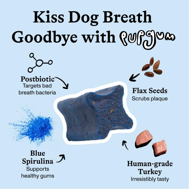 Spot & Tango PupGum close-up of turkey flavor chews for daily dental care.