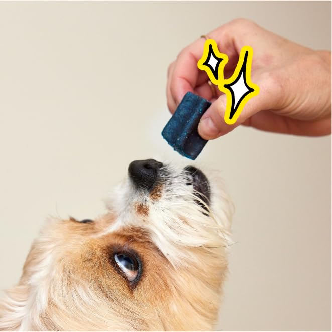 Spot & Tango PupGum fresh breath demonstration shows portable dog dental care.