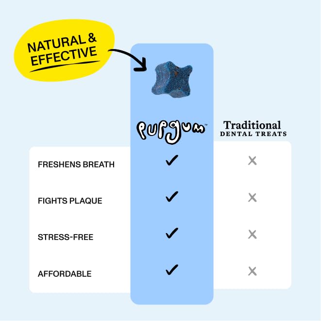 Spot & Tango PupGum small dog chew suited for daily dental care in small breeds.