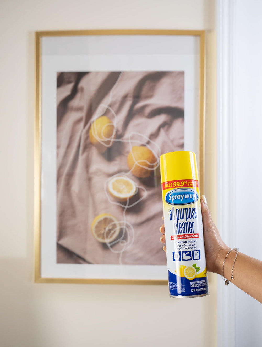 Sprayway disinfection claim highlights EPA-approved formula for germs.