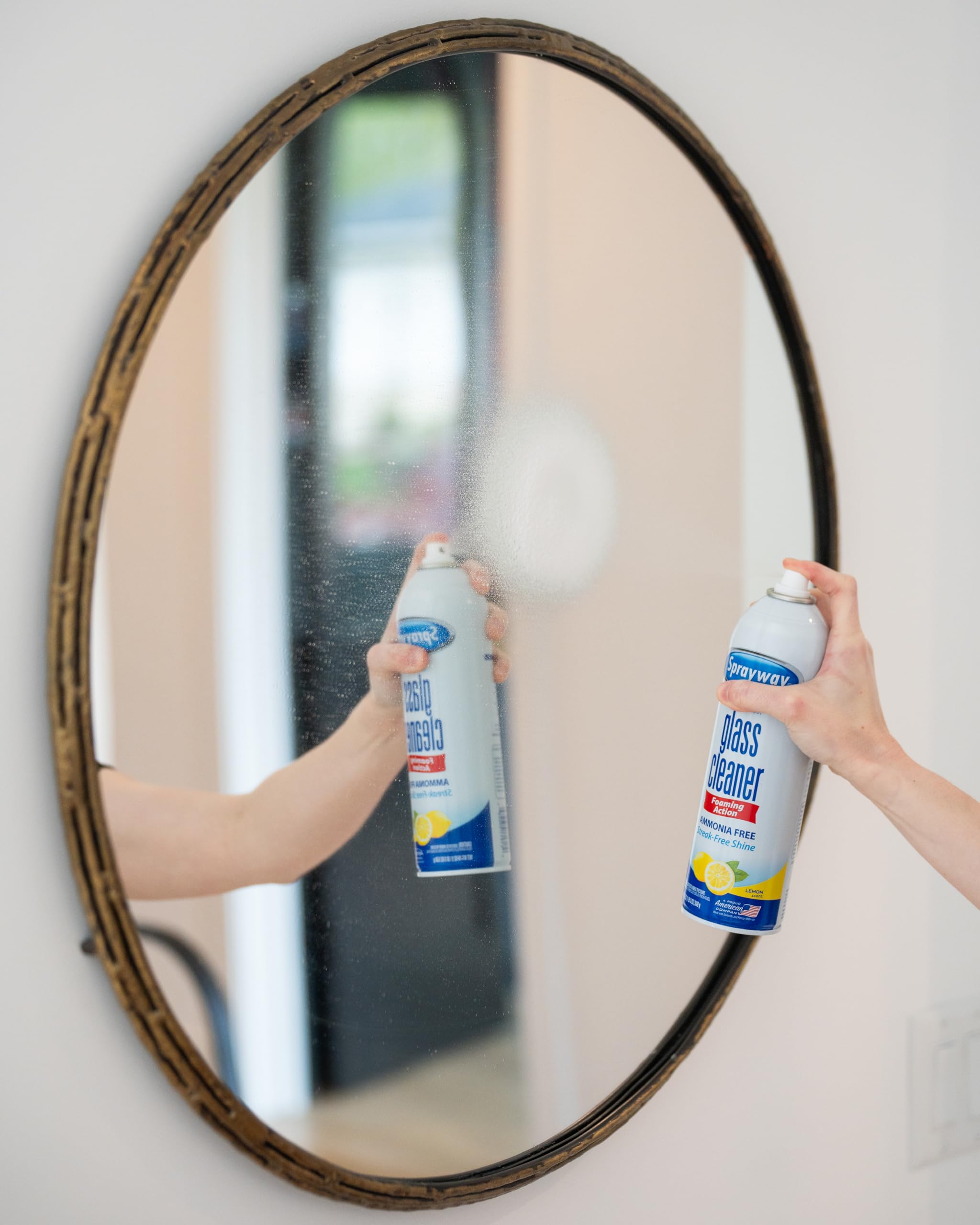 Sprayway Glass Cleaner suitable for all glass surfaces around home