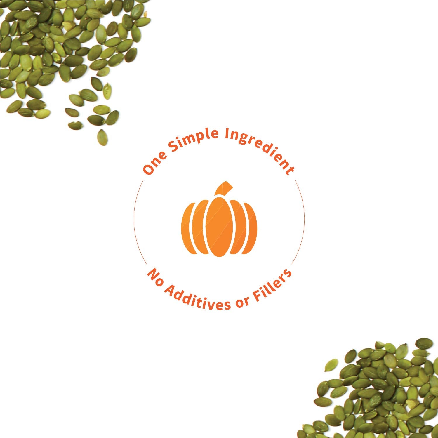 Sprout Living pumpkin seed protein on shelf packaging, organic vegan option.