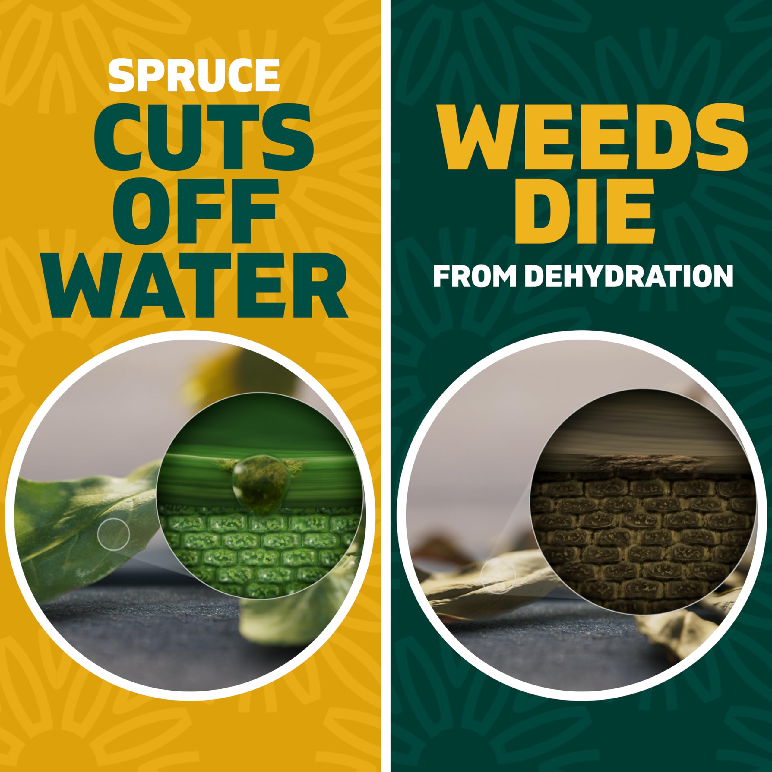 Spruce EZ-AIM fast-acting results with wilting in hours