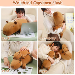 SQEQE Capybara Plush closeup reveals soft fabric and weighted beads.