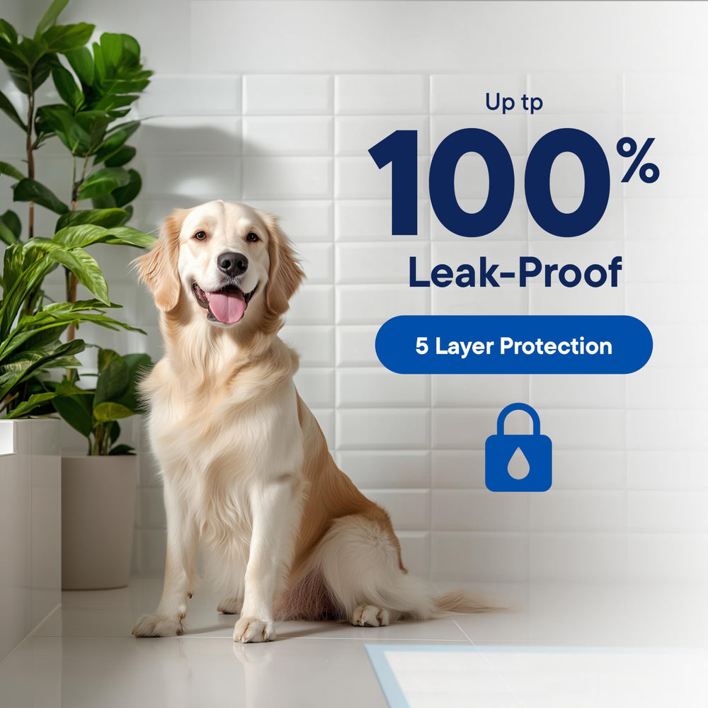 Stack Man Puppy Pads leakproof back layer keeps floors dry during use.