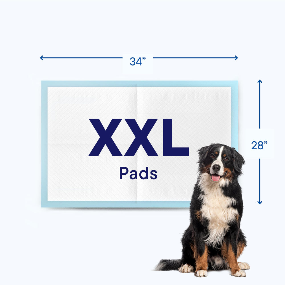 Stack Man pads arranged for crate, travel, or room protection.