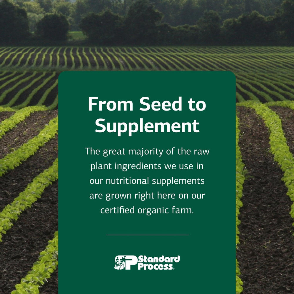 Standard Process Antronex dairy-free and soy-free supplement for liver support.