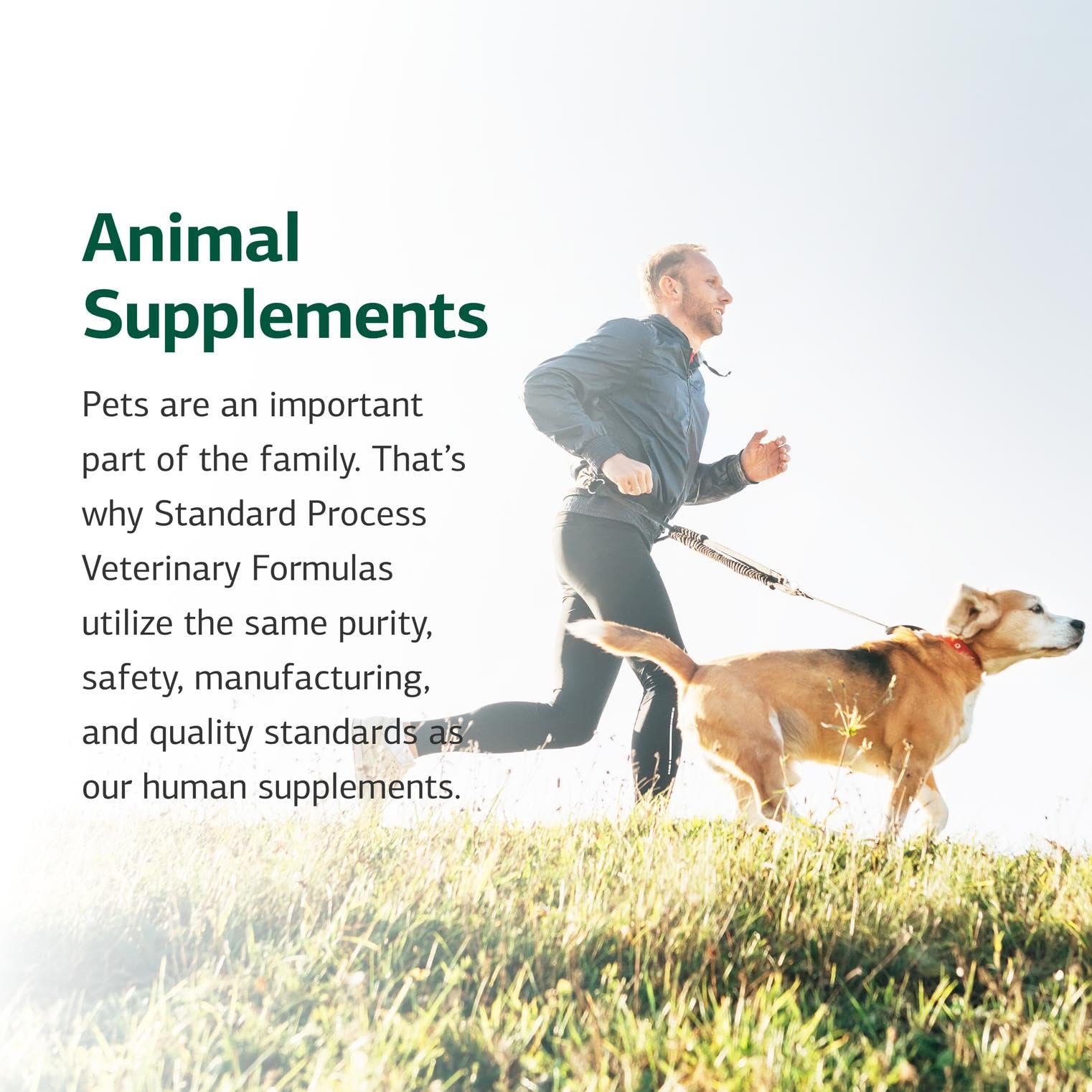 Standard Process brand logo on cat supplement packaging for trusted nutrition.