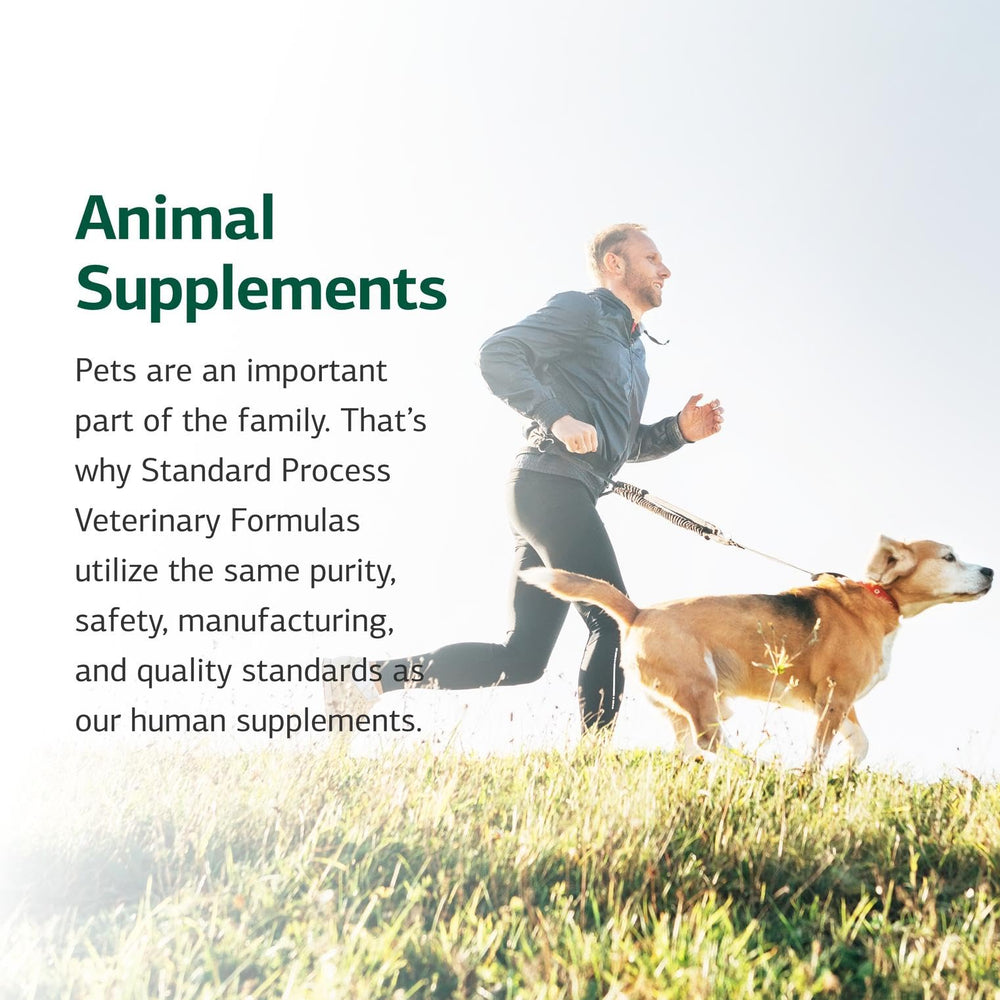 Standard Process brand logo on cat supplement packaging for trusted nutrition.