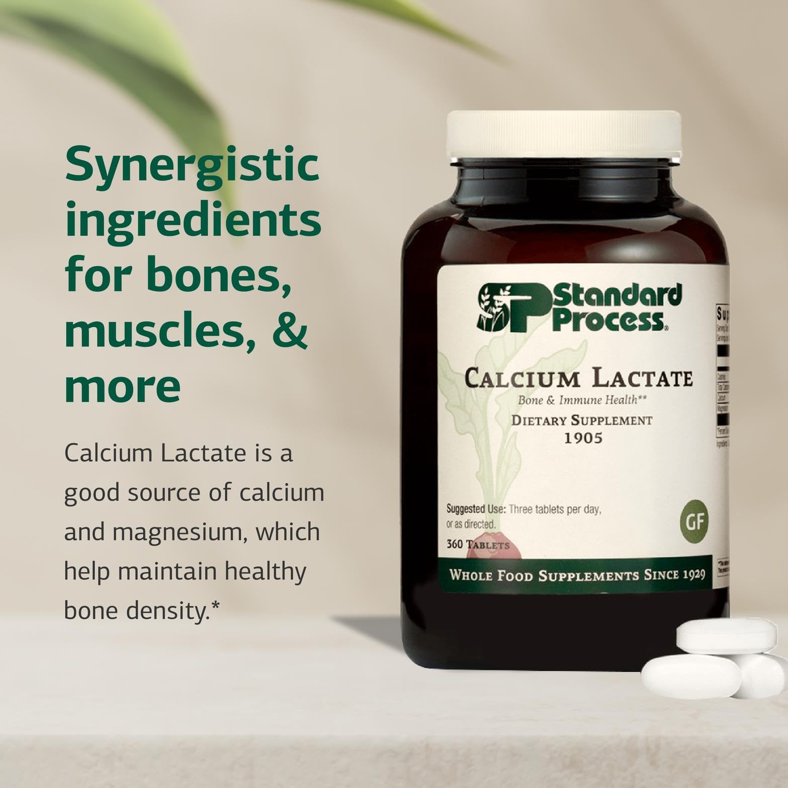 Standard Process Calcium Lactate bottle closeup highlights vegan gluten-free tablets