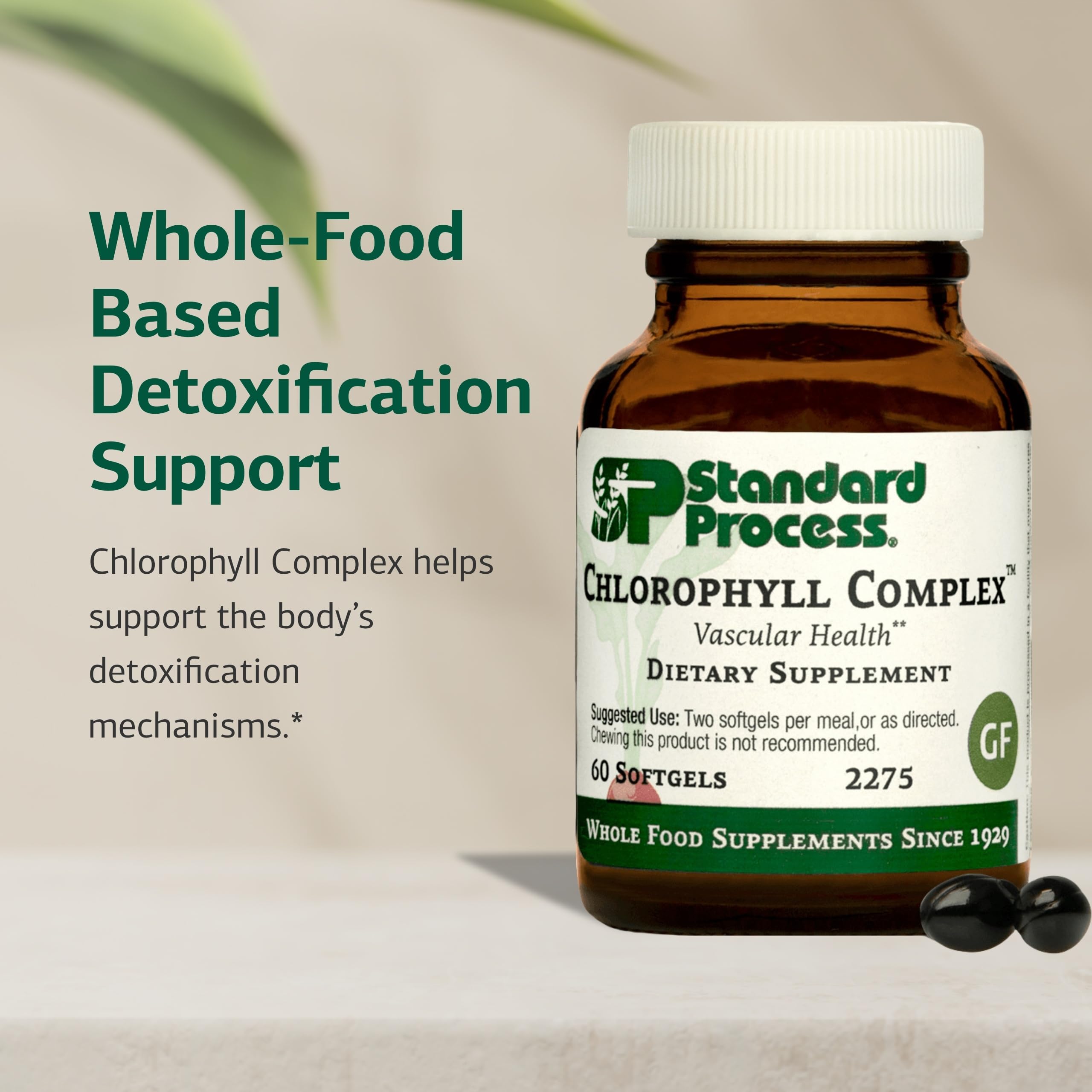 Standard Process Chlorophyll Complex softgels close-up showing compact capsules.
