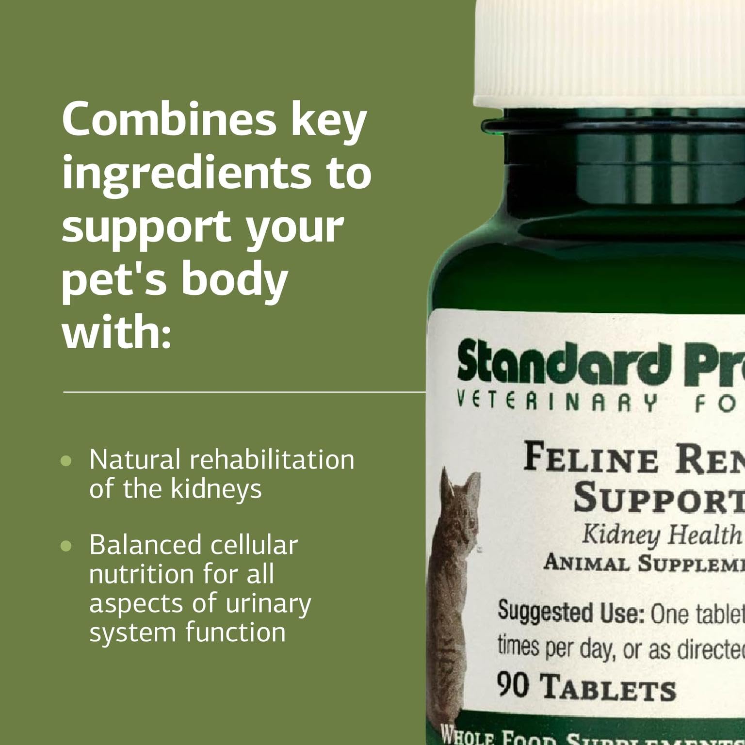 Standard Process Feline Renal Support dosing tablet, easy to administer with meals.