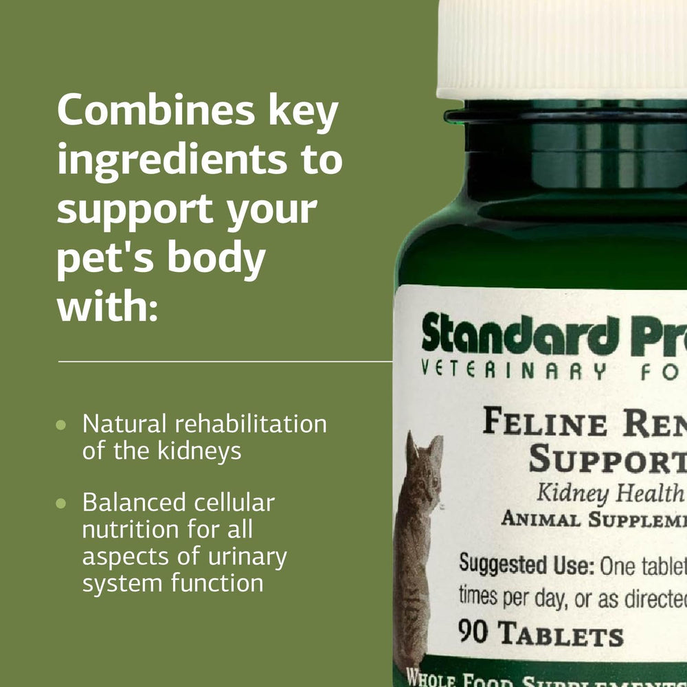 Standard Process Feline Renal Support dosing tablet, easy to administer with meals.