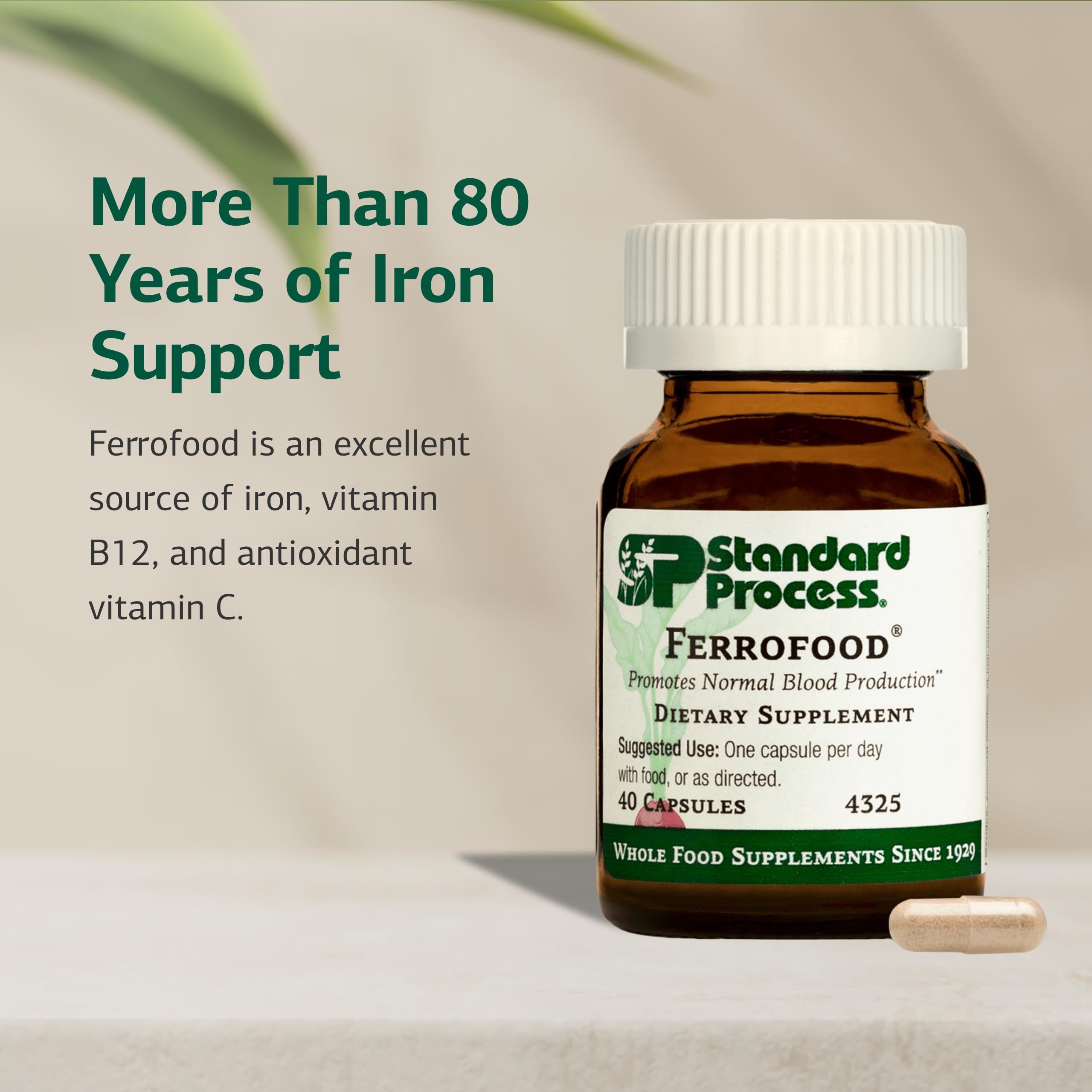 Vitamin C paired with Ferrofood aids iron absorption