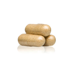 Carrot RG-I prebiotic fiber emphasized for gut microbes support.