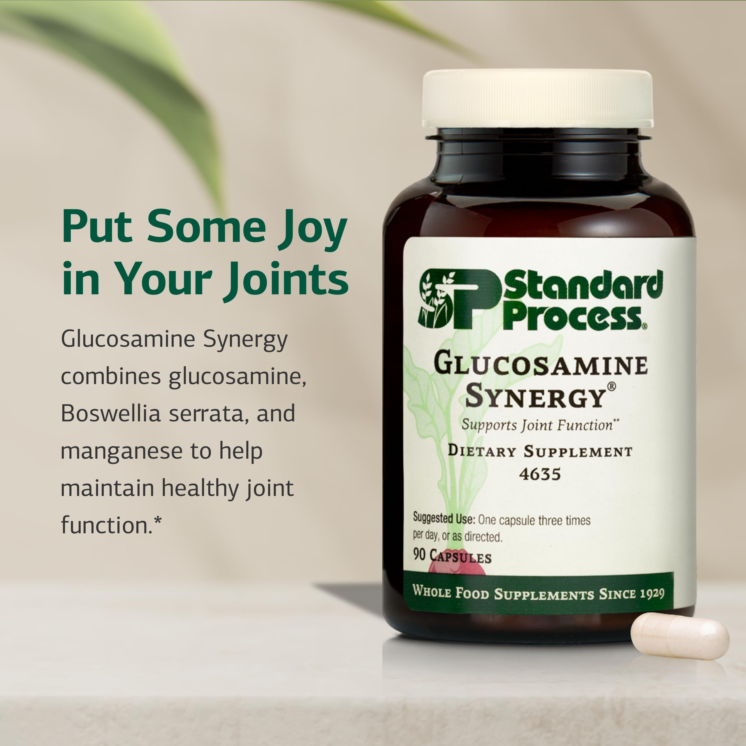 Label close-up of Glucosamine Synergy showing non-dairy and non-soy features