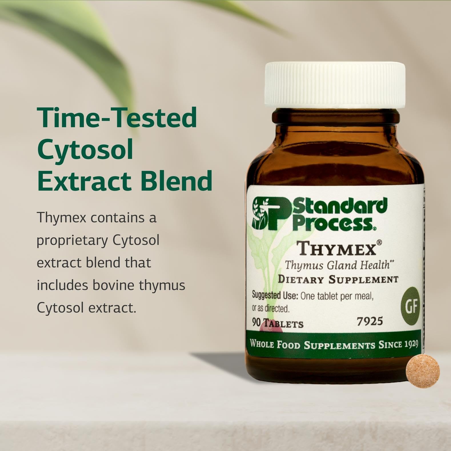 Standard Process Thymex tablets neatly arranged for daily nutritional support.