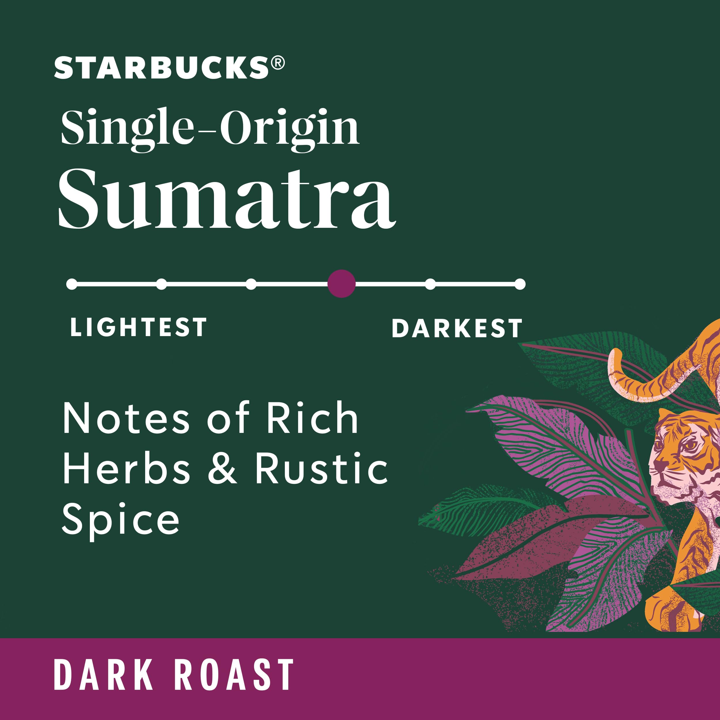 Starbucks Sumatra brew over ice, refreshing boldness in a tall glass.