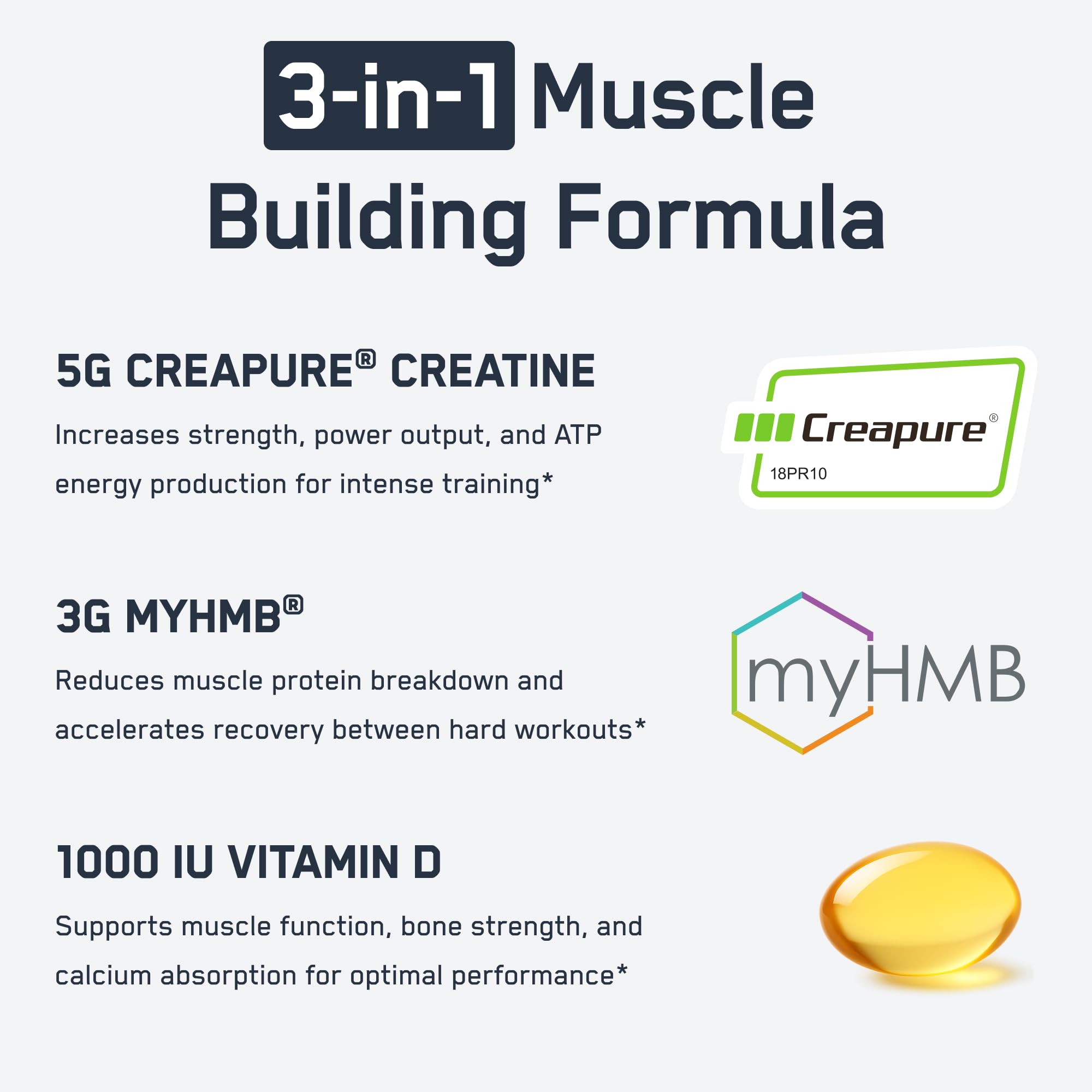 SteelFit Creatine HMB powder dissolving in a glass of water.