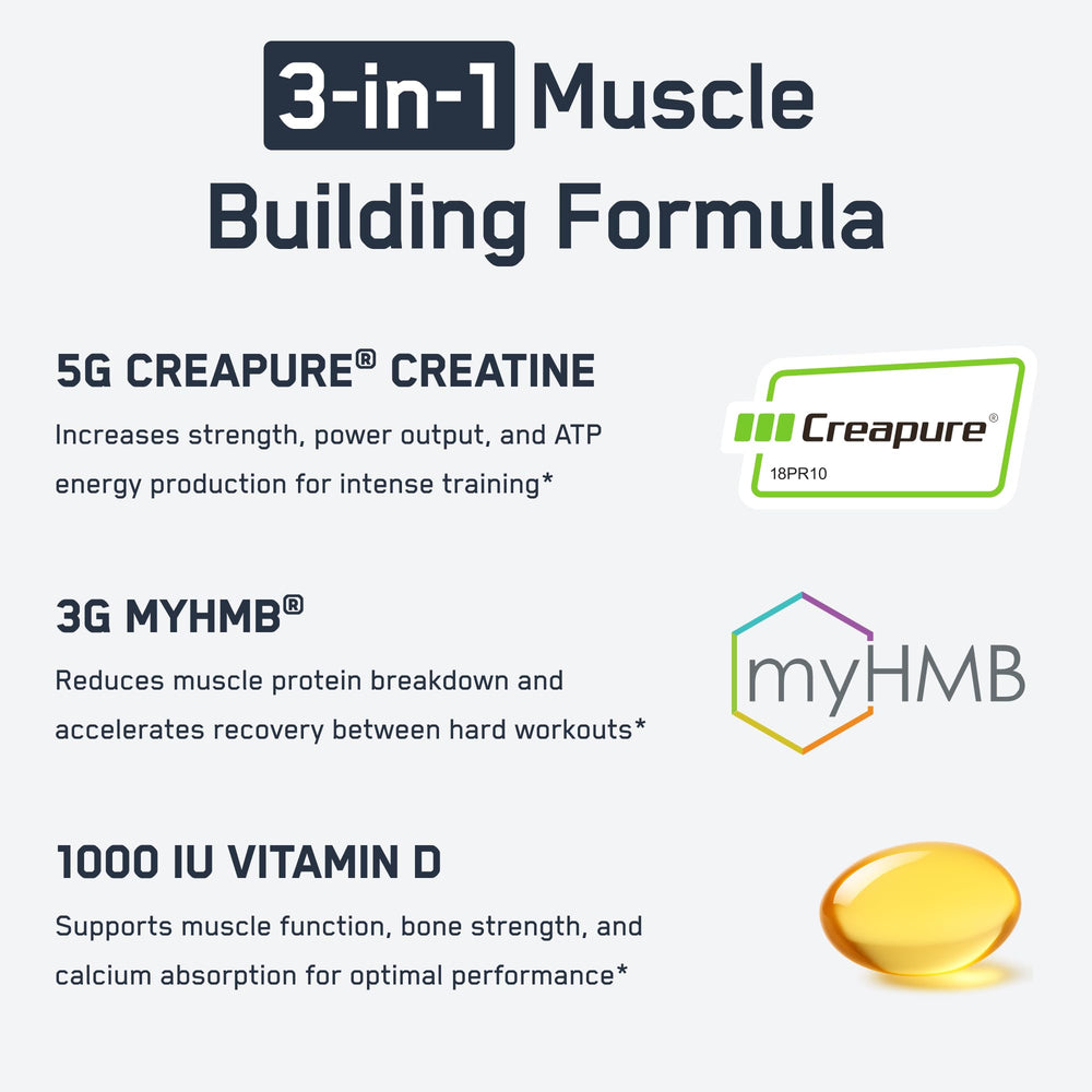 SteelFit Creatine HMB powder dissolving in a glass of water.