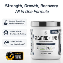 SteelFit Creatine HMB scoop with powder for easy daily dosing.