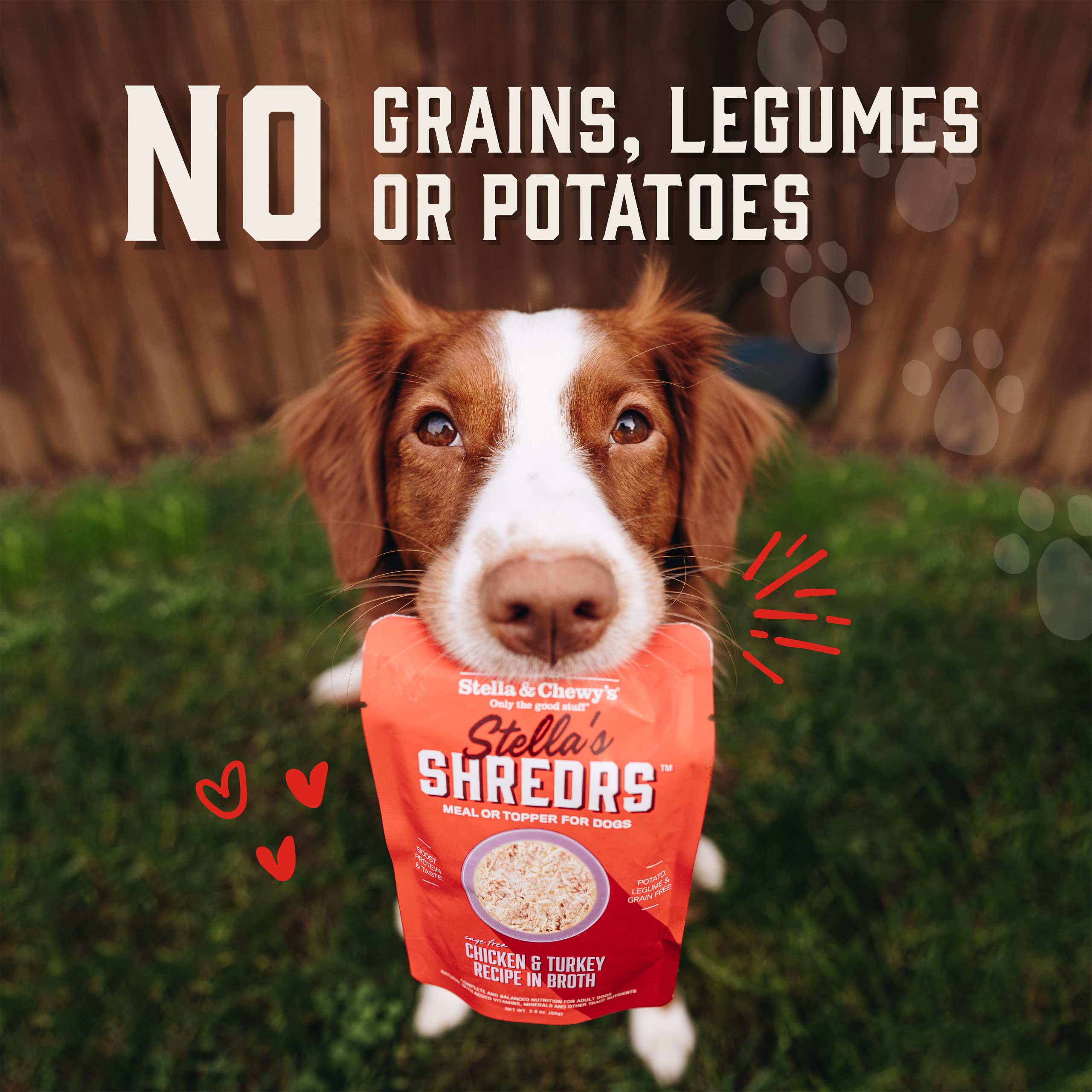 Dog enjoys Shredrs, illustrating appeal to picky eaters