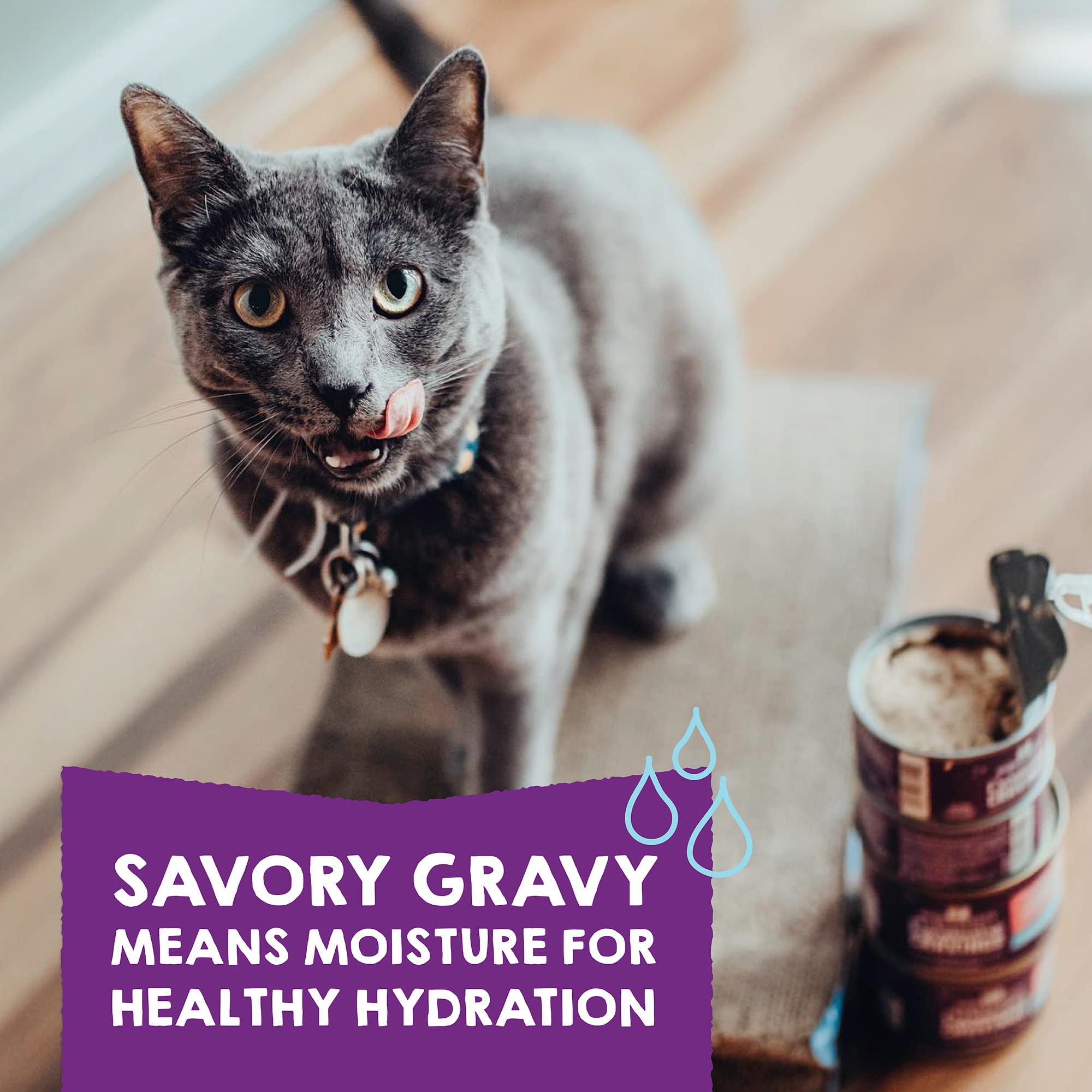 Stella & Chewy's wild-caught fish provide protein variety for cats.