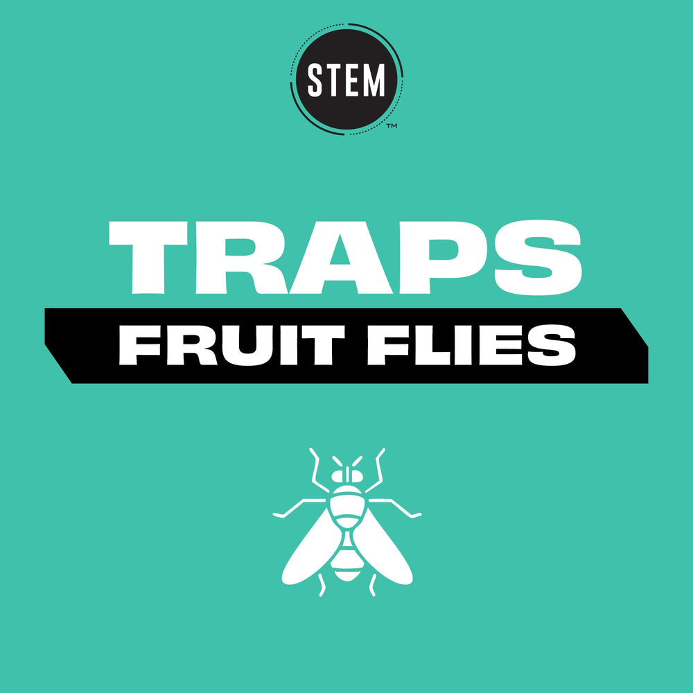 STEM fruit fly trap closeup bottle shows botanical formula for homes.