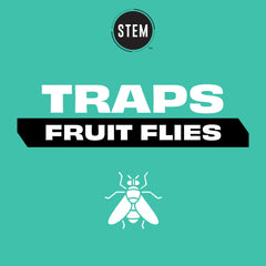 STEM fruit fly trap closeup bottle shows botanical formula for homes.