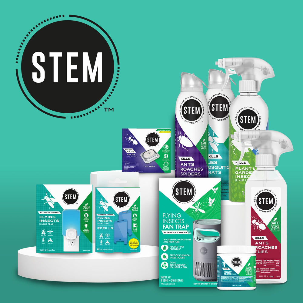 STEM fruit fly trap in-use captures flies without creating a mess.