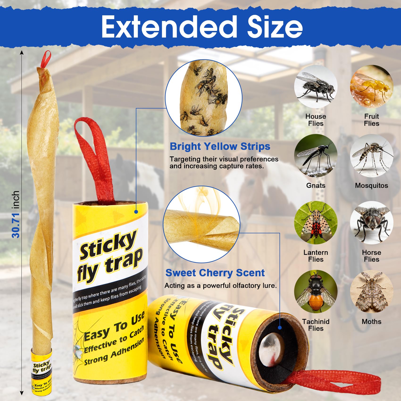 Stingmon outdoor sticky fly strips hung to deter flies.