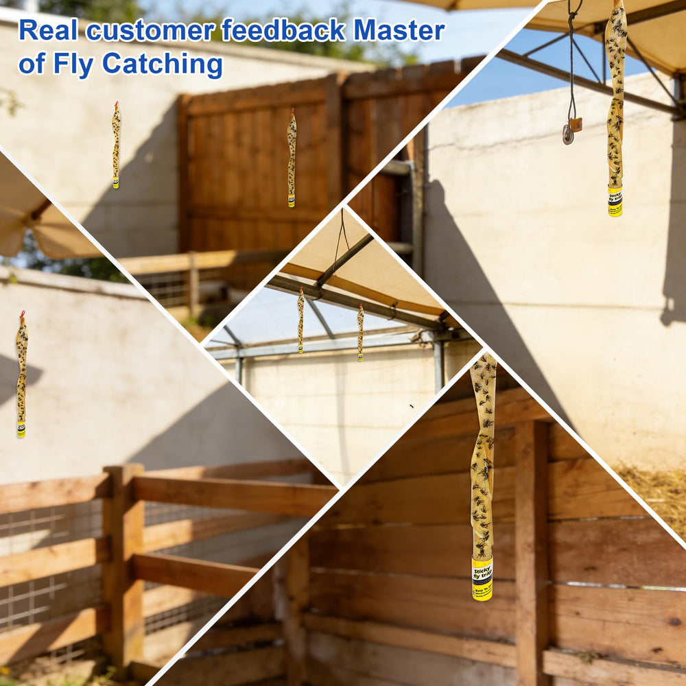Stingmon setup tips help maximize trap effectiveness.