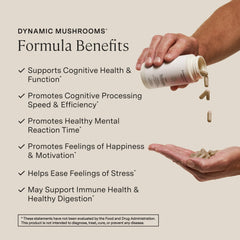 Close-up of Stonehenge Dynamic Mushrooms capsules for easy daily use