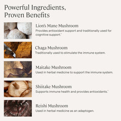 Stonehenge Dynamic Mushrooms Lions Mane extract capsule highlighting brain health support