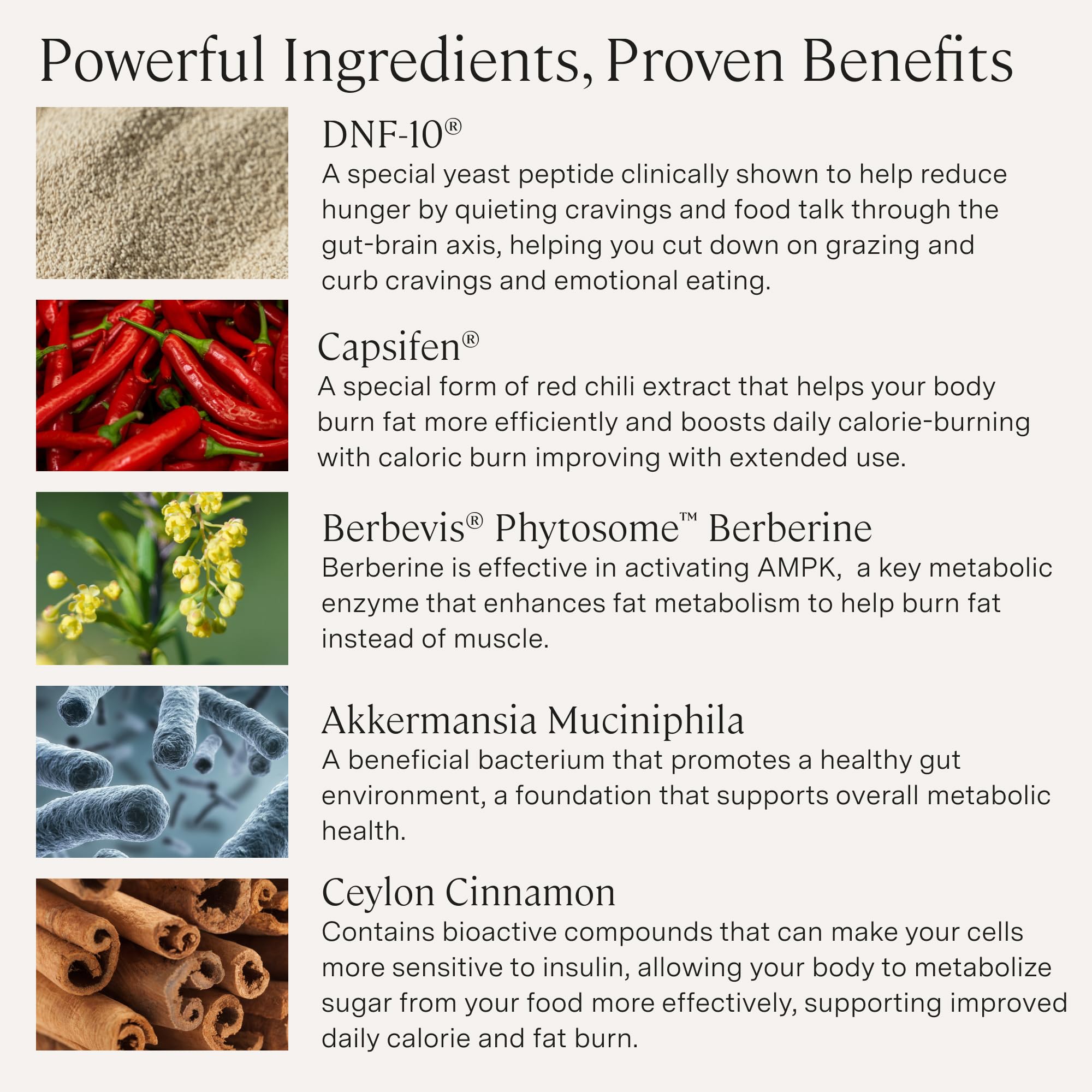Stonehenge Health Dynamic GLP-1 label highlighting vegan, non-GMO ingredients.