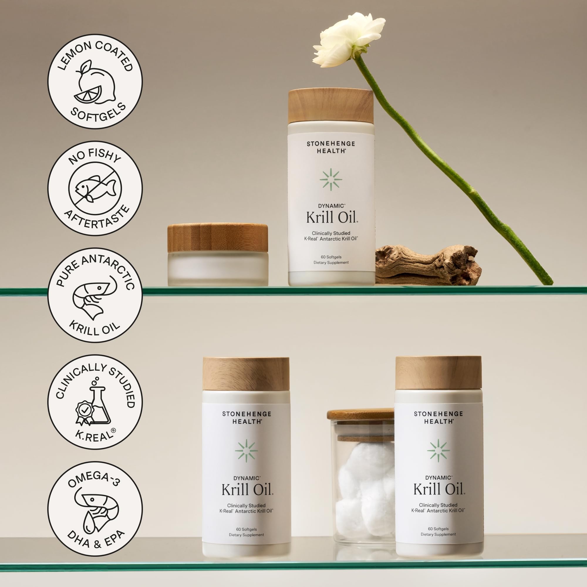 Stonehenge Health Dynamic Krill Oil phospholipids absorption illustration shows boost.