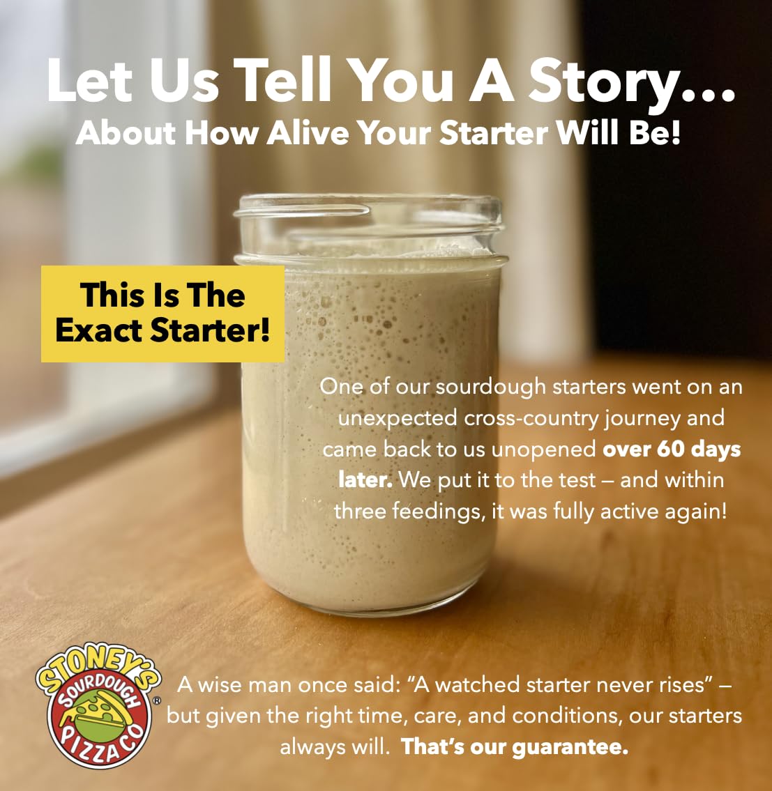 Active, bubbly starter shows strong culture ready to bake at home.